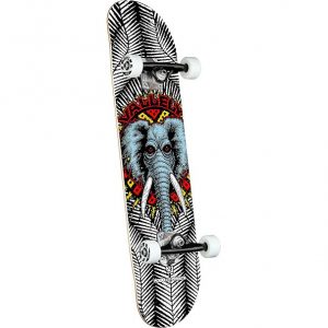 Skate Completo Powell Peralta Vallely Elephant Birch 8.0